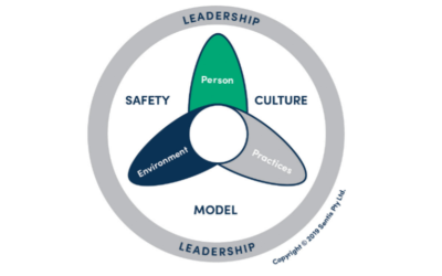 Safety Culture: Management & Leadership