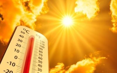 KEY ELEMENTS TO COMBAT HEAT STRESS