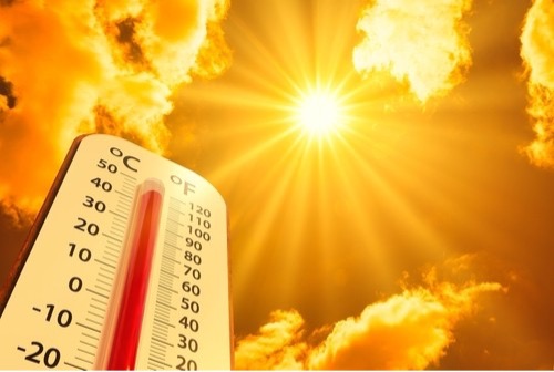 KEY ELEMENTS TO COMBAT HEAT STRESS